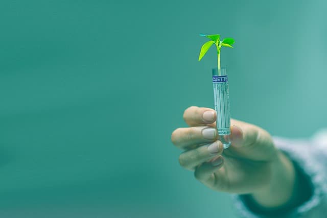 Growing Together – Gemeinsam wachsen