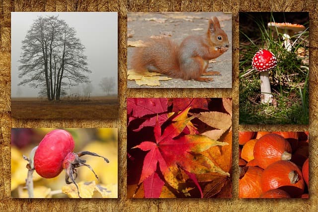 Herbstfest in Wust