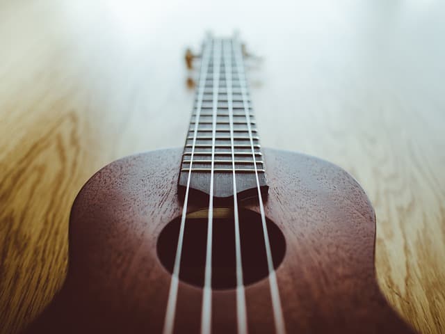Workshop - Ukulele