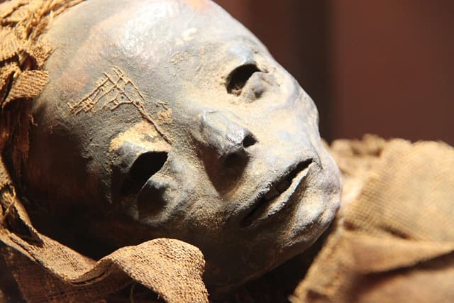 Suchspiel - Ägypten ganz nah – folge dem Skarabäus. Ein Suchspiel durch das Ägyptische Museum