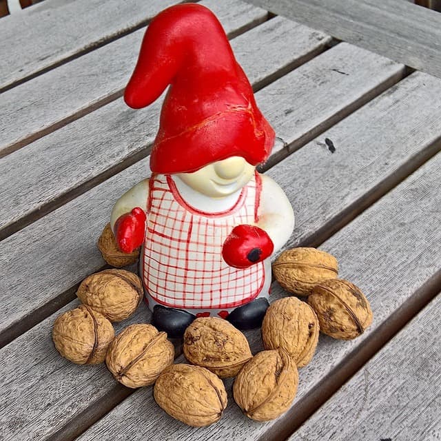 Online-Weihnachtsspecial: "Tomte und der Fuchs