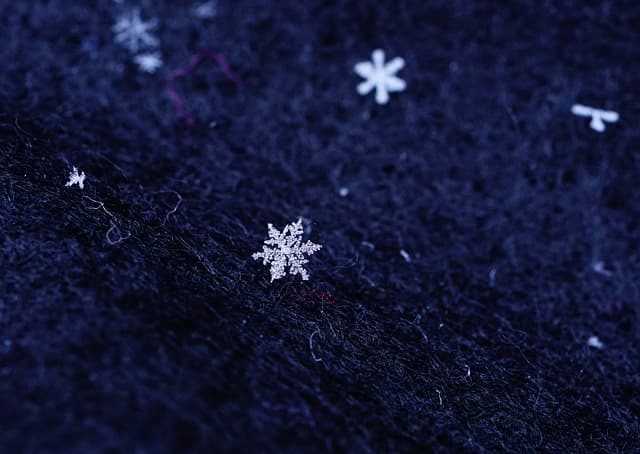 Schneeschön und Bitterkalt