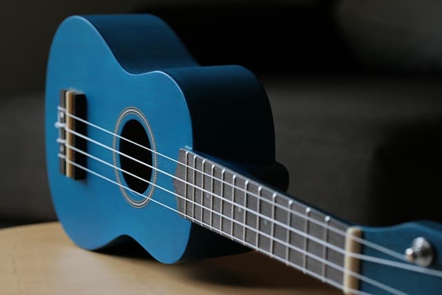 Workshop - Ukulele