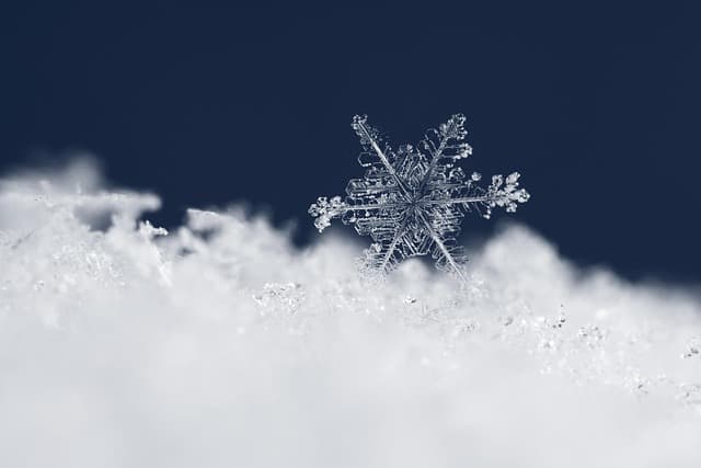 Schneeschön und Bitterkalt